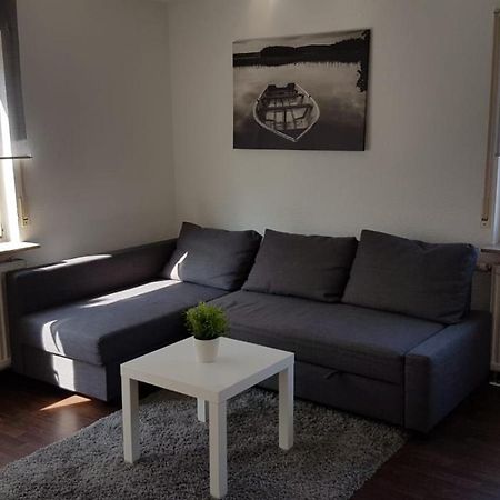 Ferien- Und Businessapartment I Modern Mit Wlan Und Parkplatz Nahe Zentrum, Automobil- Und Tech-Firmen, Messe 瑞宁根 外观 照片